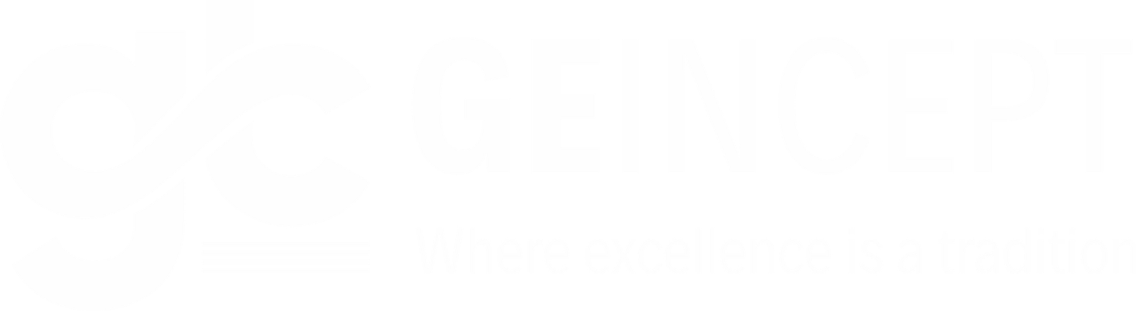 Geincept Logo Landscape W